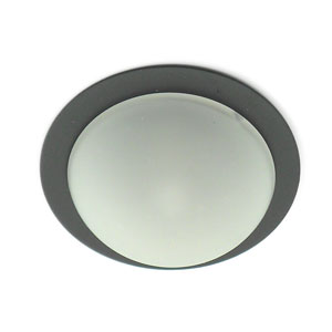 Dome Glass Frosted Puck Light T1cr